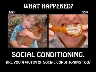 94d9f471e55ac46840a4271ab63e2f08