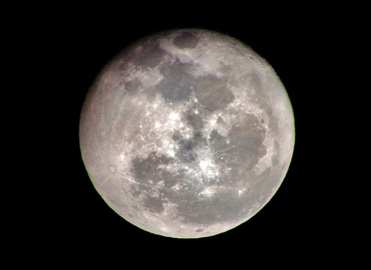 Photo by Julie Catona