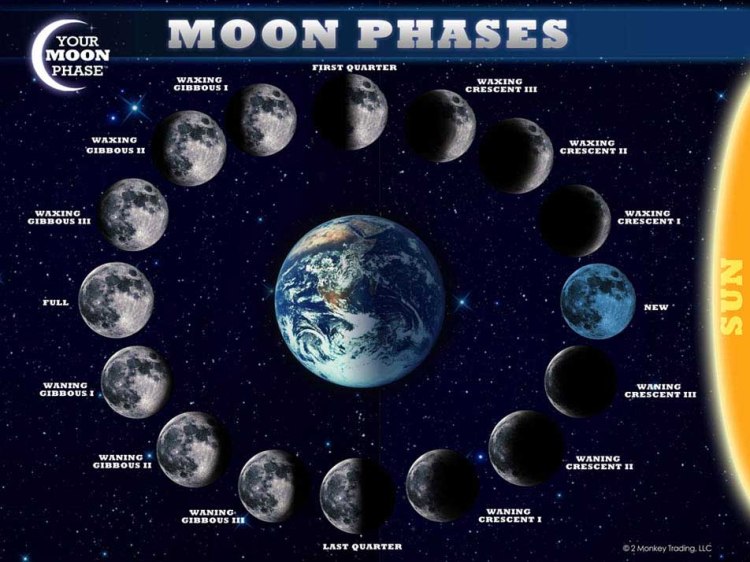 moon-phase-chart