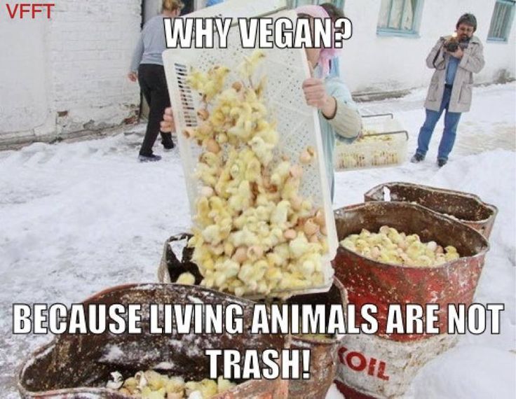 3ce5eae9e198ef075afacce65c2040df